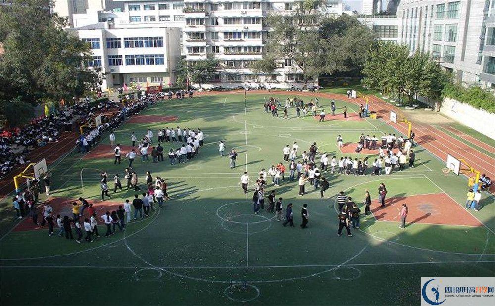 樹德博瑞實驗學校在校學生總人數(shù)是多少？