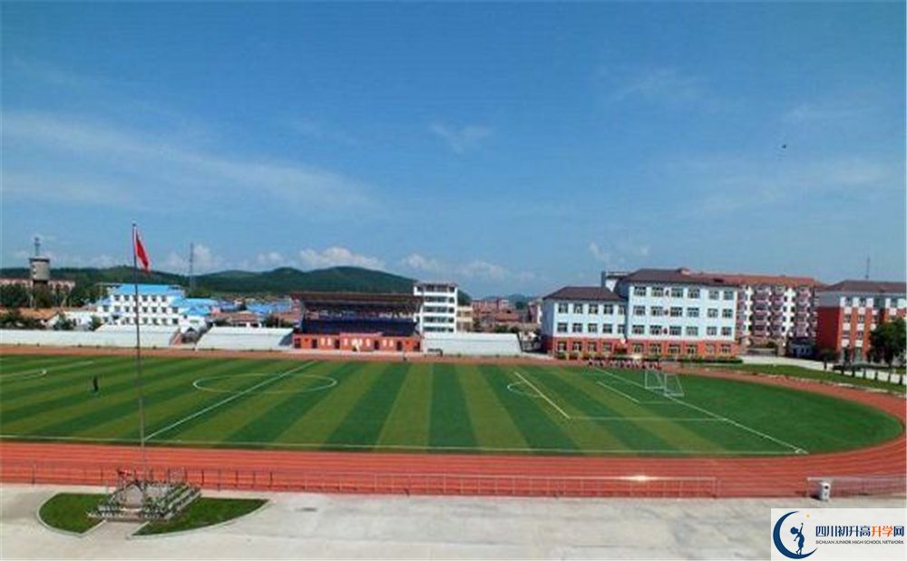 成都市華陽中學(xué)2020年高考人數(shù)是多少？