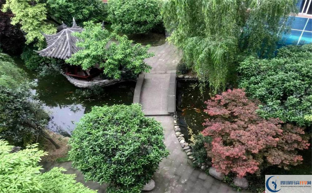 成都八中今年的錄取條件是否有變化？