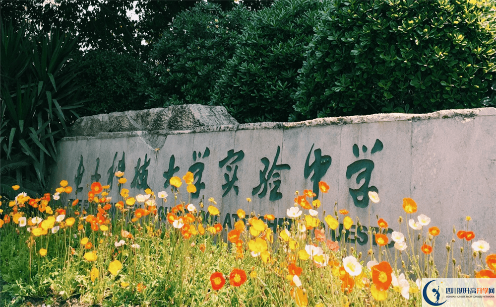 電子科技大學(xué)實驗中學(xué)今年的錄取條件是否有變化？