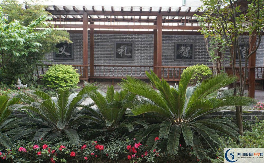 2020成都八中考自主招生條件是什么，有何變化？