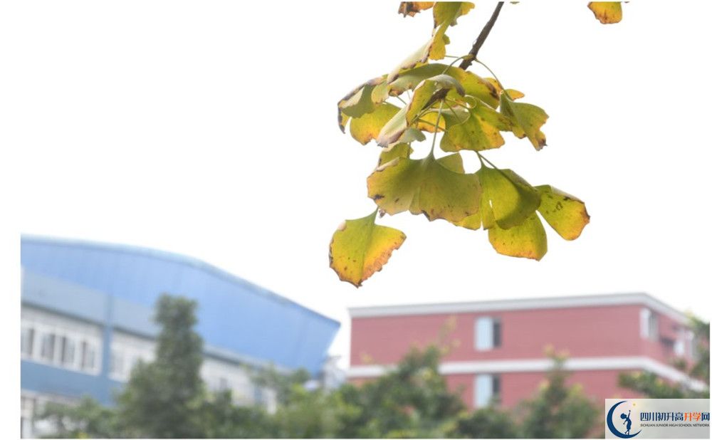 北京師范大學成都實驗中學地址怎么走？