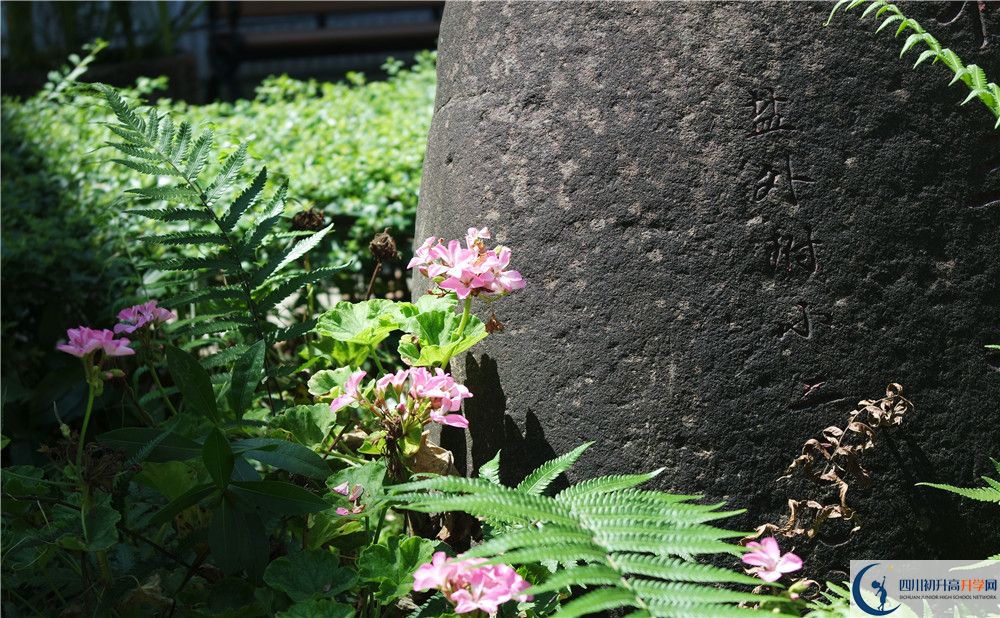 成都經(jīng)濟(jì)技術(shù)開發(fā)區(qū)實(shí)驗(yàn)中學(xué)2020年中考收分線是多少？