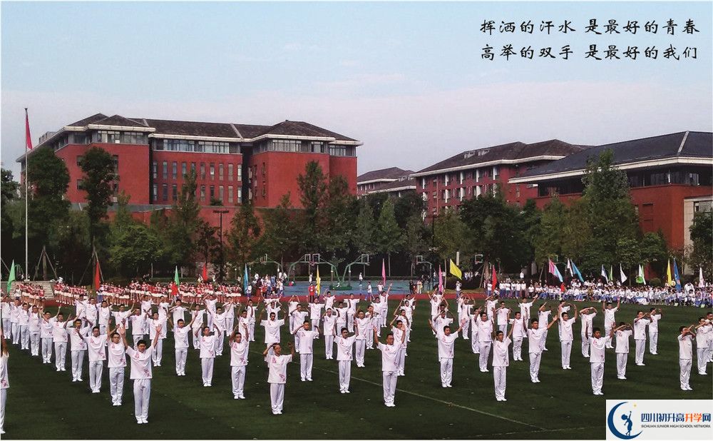 七中高新2020年排名高不高？