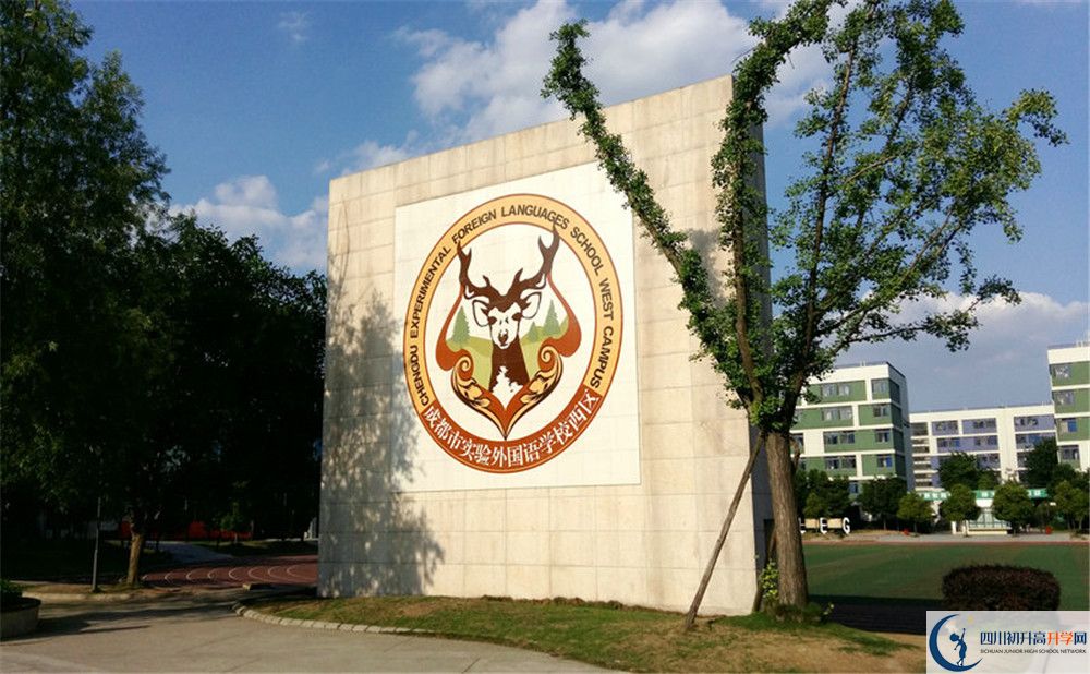 2020年成都實外西區(qū)高中部的班型是什么？