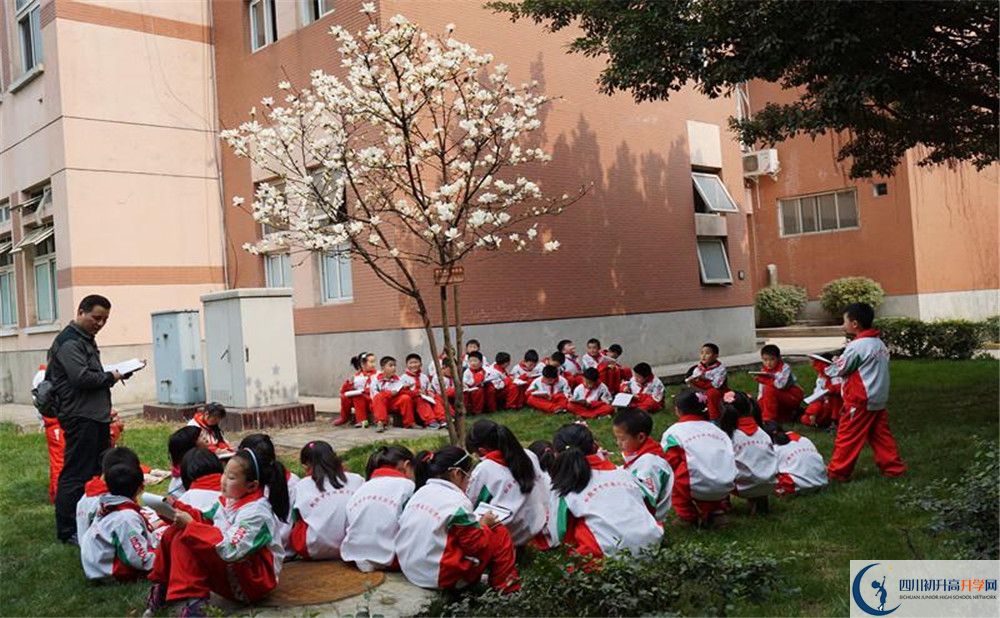 2020年樹德中學博瑞實驗學校中考錄取分數(shù)線是多少？