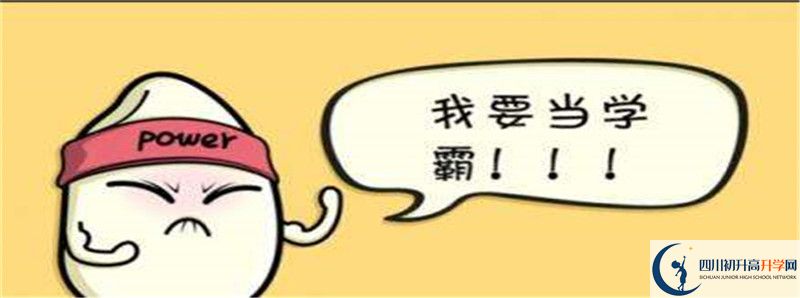 北二外成都附中2021清華北大錄取學(xué)生多少？
